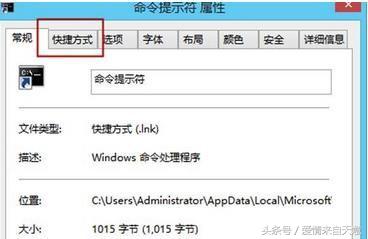 手机exe文件怎么打不开,文件exe打不开怎么转换格式