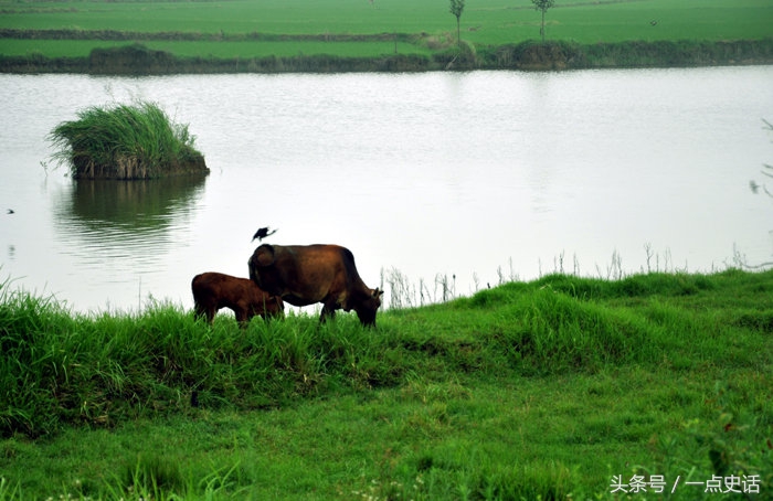 山东有几条主要的河流,山东最长的十条河流