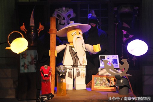 乐高积木成人款植物多肉,小玩具乐高