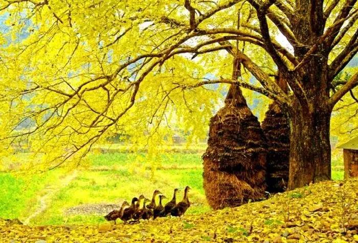 最近昆明哪里风景比较好,昆明周边的绝世美景