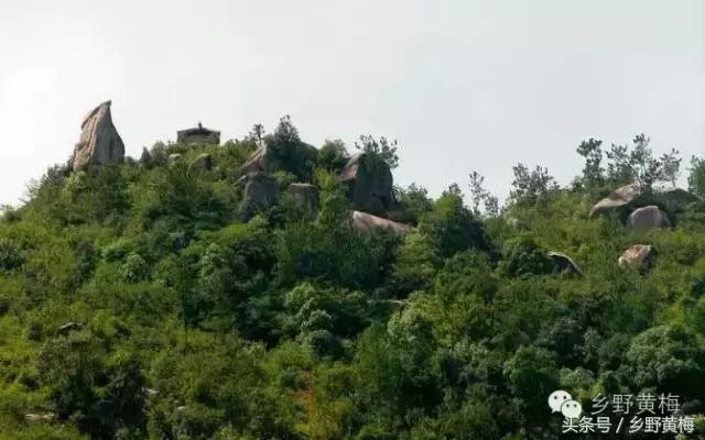 难忘大青山,难忘中学