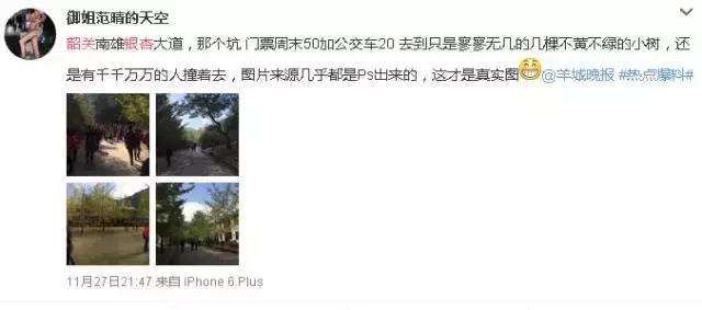 南雄看银杏值得去吗,南雄看银杏攻略