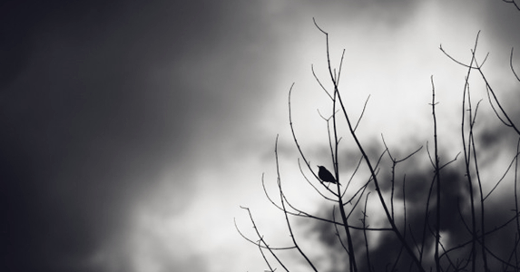 女人称村里老寿星偷她孩儿尸骨，寿星半夜给槐树磕头暴露可怕实情