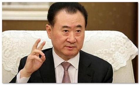 王健林谈销售额不能体现价值,王健林谈中国商业经济