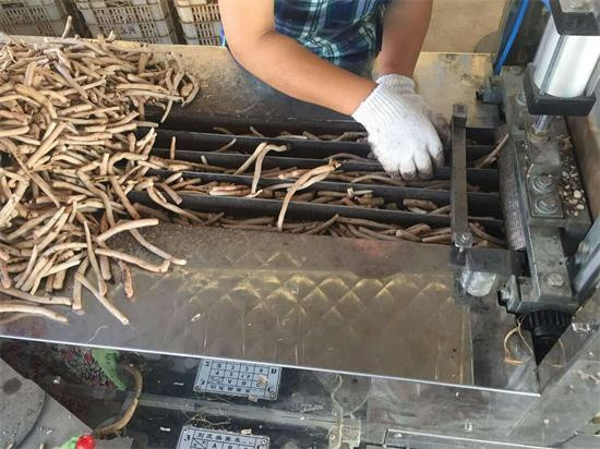 近日亳州白芍行情,亳州白芍今日行情