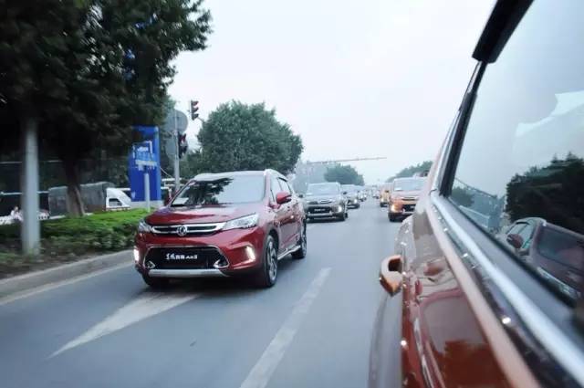 你先镇定一下,我们要在野生动物园里开车了