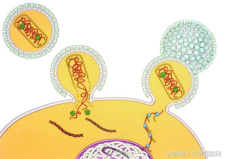 关于艾滋病你不知道的五大真相,关于艾滋病你要知道的几件事