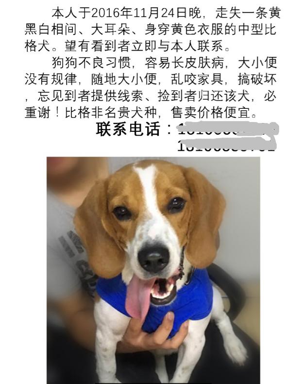 通过小白找狗事件看好物业的重要性