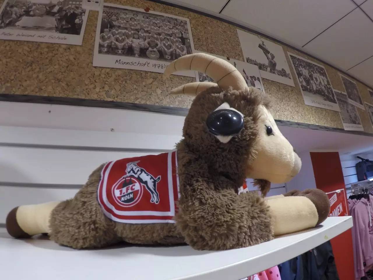 德国之旅慕尼黑,德国足球欧洲杯赛