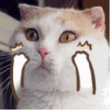 快速修复毛孔方法,快速抗皱收缩毛孔