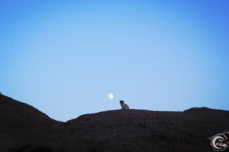 科帕奇去沙漠,科帕奇沙漠越野