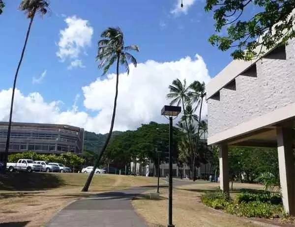 湿邪根治特效药,湿邪怎么治疗最有效