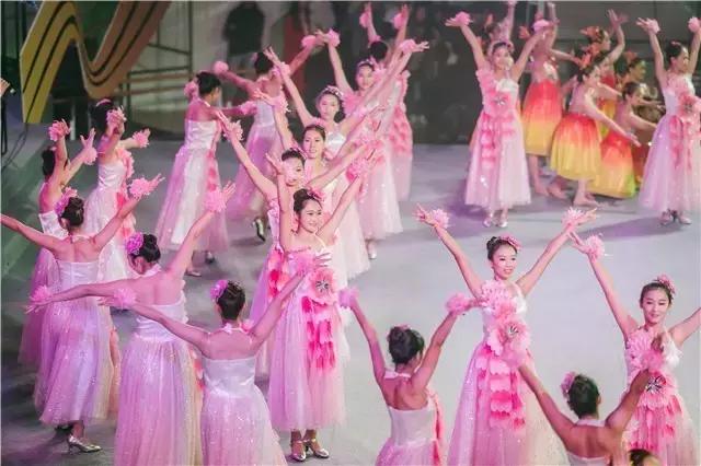 嗨，我叫惠州学院，今年70岁了！