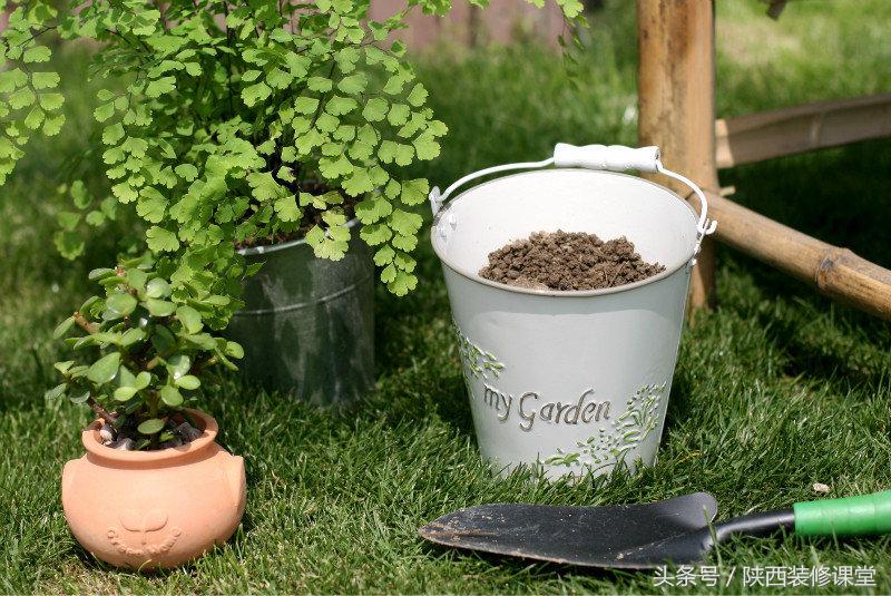 280平花园法式,我家花园的氛围感