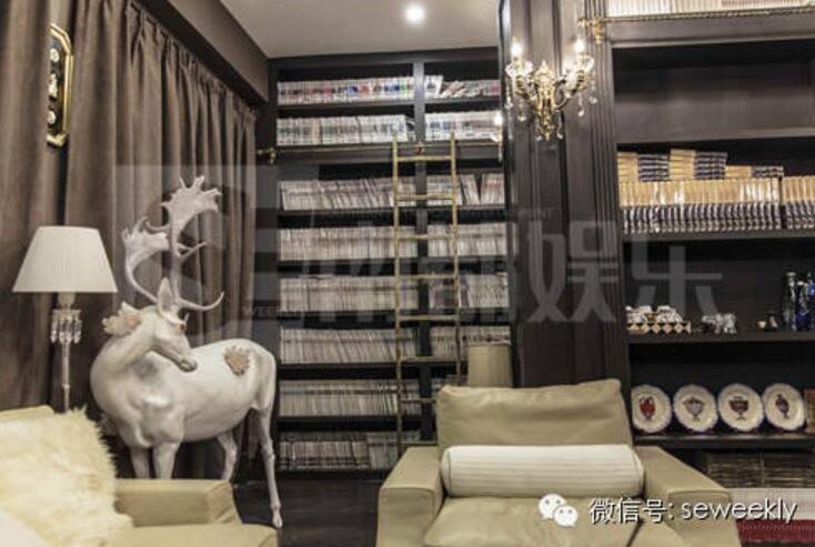 明星的房子都是怎么装修的,全球明星豪宅内部装修视频