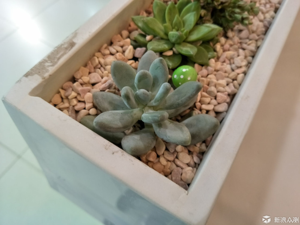 oppor9s评测,oppor9s多少钱一台