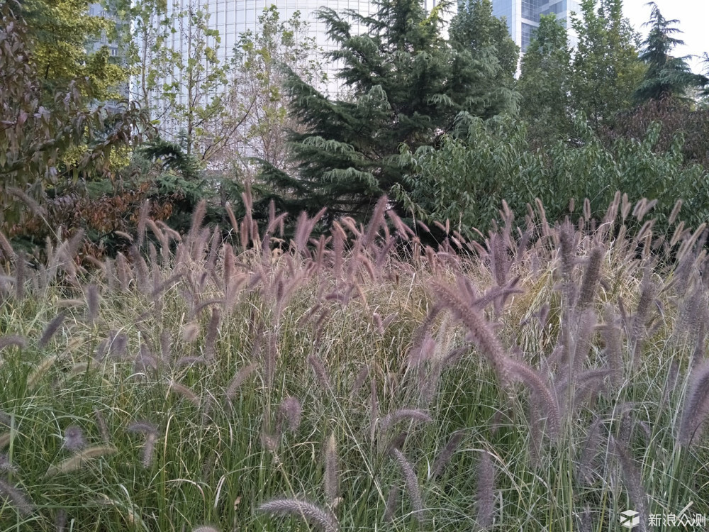 oppor9s评测,oppor9s多少钱一台