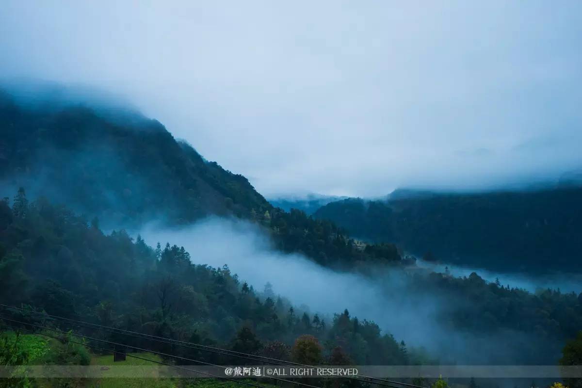 今年最后银杏金秋，现在出发还来得及！