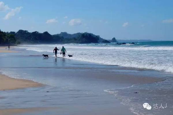 我在巴拿马,不是巴哈马哦,许多朋友将这两只“马”分不开