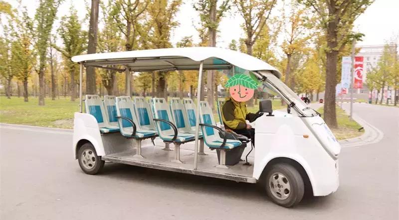 全国十大最美银杏大学,全国最美银杏大学