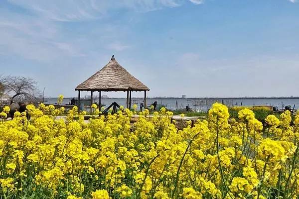 上海附近农家乐包吃住的有哪些,上海周边农家乐包吃住二日游推荐