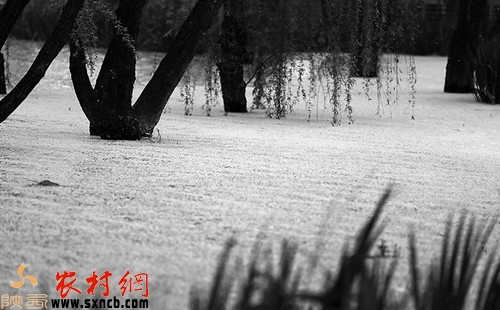 明朝长安城的故事,明朝长安城故事