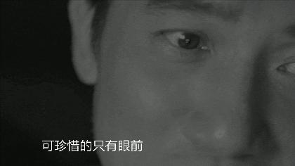 机械猫实战效果,机械猫的运营模式