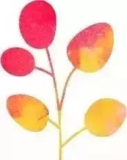 这是一篇并不普通的济南粥铺攻略（附厨神贴心小卡片）