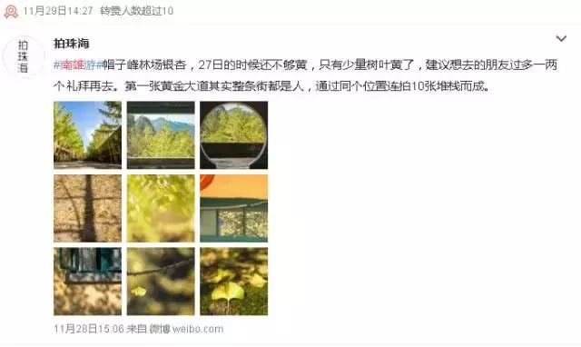 南雄看银杏值得去吗,南雄看银杏攻略