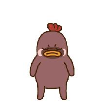 杭州这四类群体好消息速看,杭州人都要知道的好消息