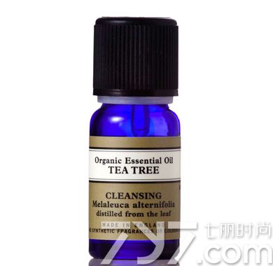 茶树精油对炎症性痘痘有效吗,茶树精油预防痘痘怎么用