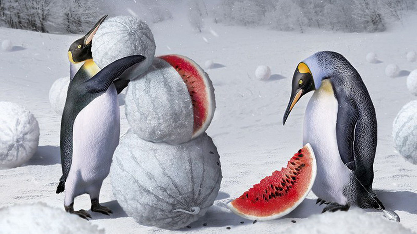 36氪投资平台,36氪中比较火的融资项目有哪些