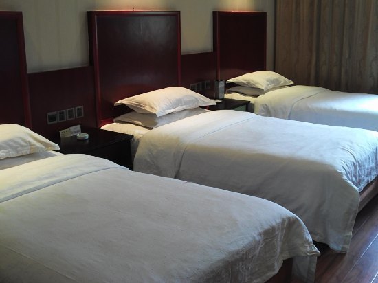 厉害了word哥什么意思,厉害了word哥视频