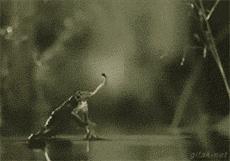 逗逼先僧：完了以后能不能给我舔舔，搞笑gif图片合集6