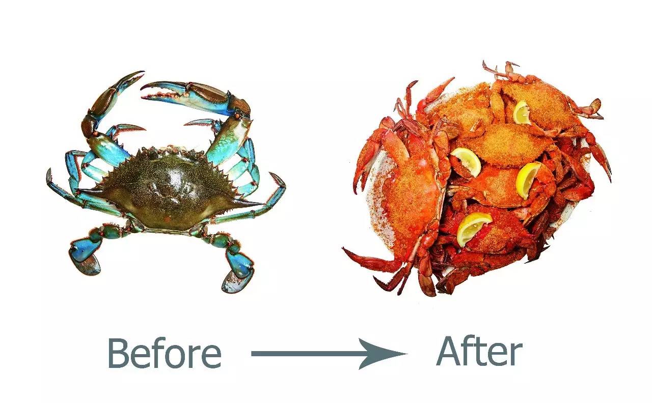 华盛顿的餐食,华盛顿特区美食