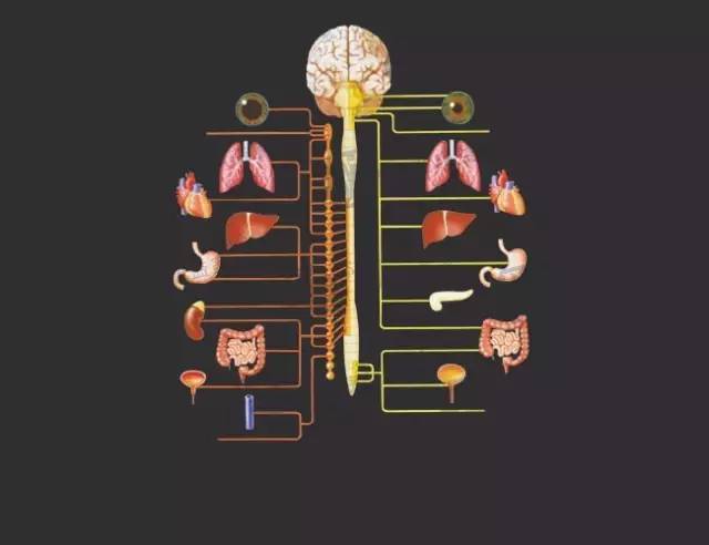 为什么哭的时候喉咙紧,为什么哭的时候喉咙很累