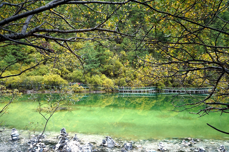 佩服自己，我在亚丁冒雨溯溪央迈勇到牛奶海