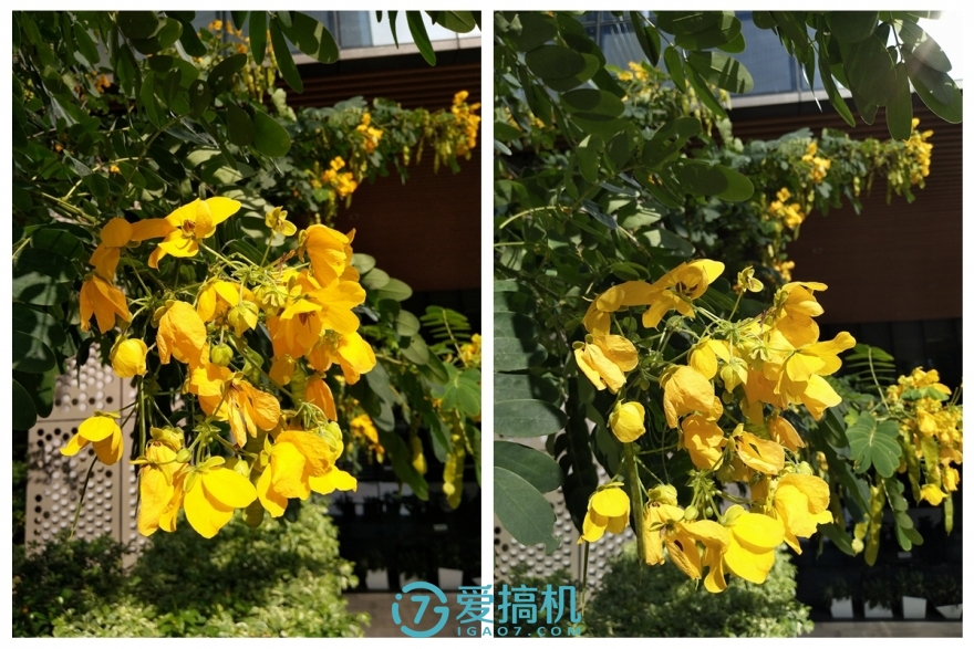 vivox9柔光双摄照亮你的美,柔光双摄vivox9详细评测