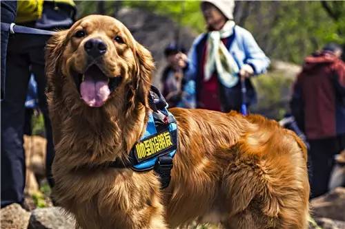 活动回顾｜欧帝亿主题巴士回顾--畅游幽谷神潭