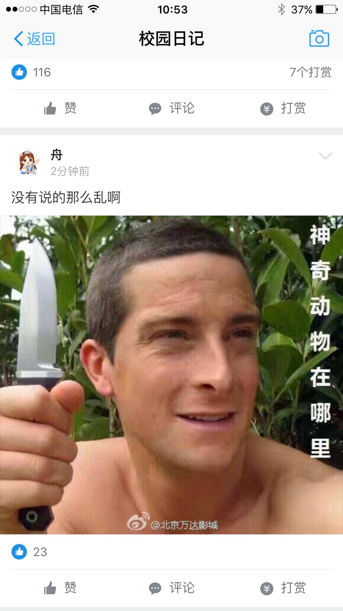 支付宝变信用购是怎么回事,支付宝变蓝是什么原因