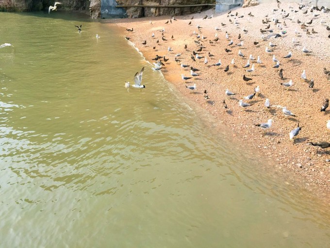那年夏天那片海图片,那年夏天那片海