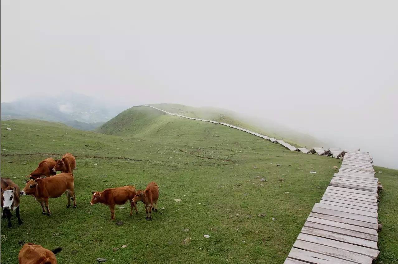 最近昆明哪里风景比较好,昆明周边的绝世美景
