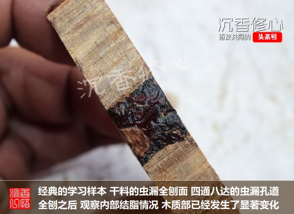 奇楠沉香的特点及鉴别,奇楠沉香真假辨别4种简单方法