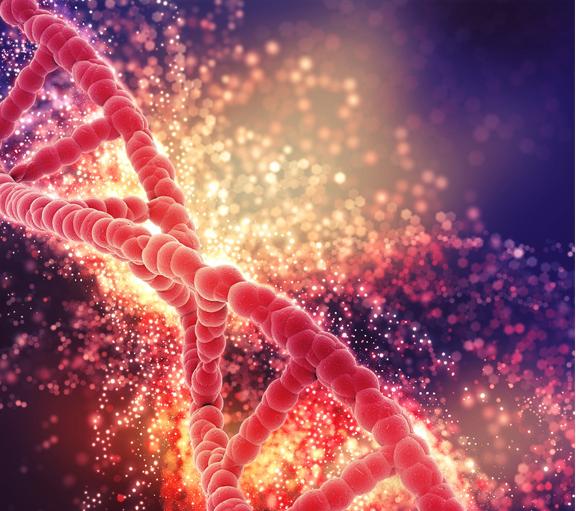 长高重要知识,长高科学原理