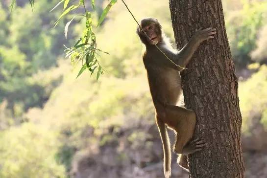脚告诉你的11件事