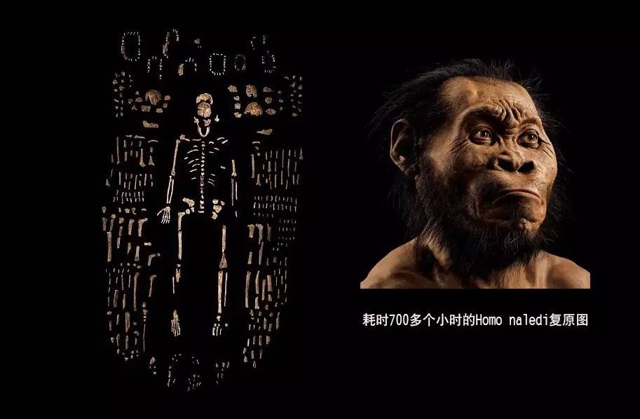 脚告诉你的11件事