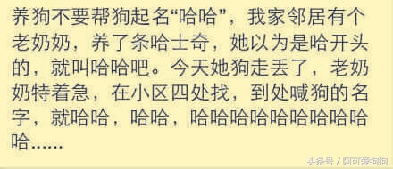 哈士奇长的可爱,你家哈士奇真的不会自卑吗