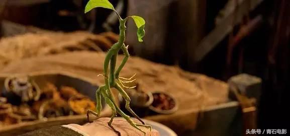 必看的10部大片,超燃劲爆大片