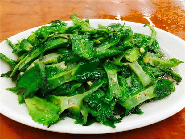 全家去三亚自驾过年攻略,十一月份带全家去三亚