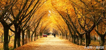 qq留言板祝福语,2020qq群发祝福语